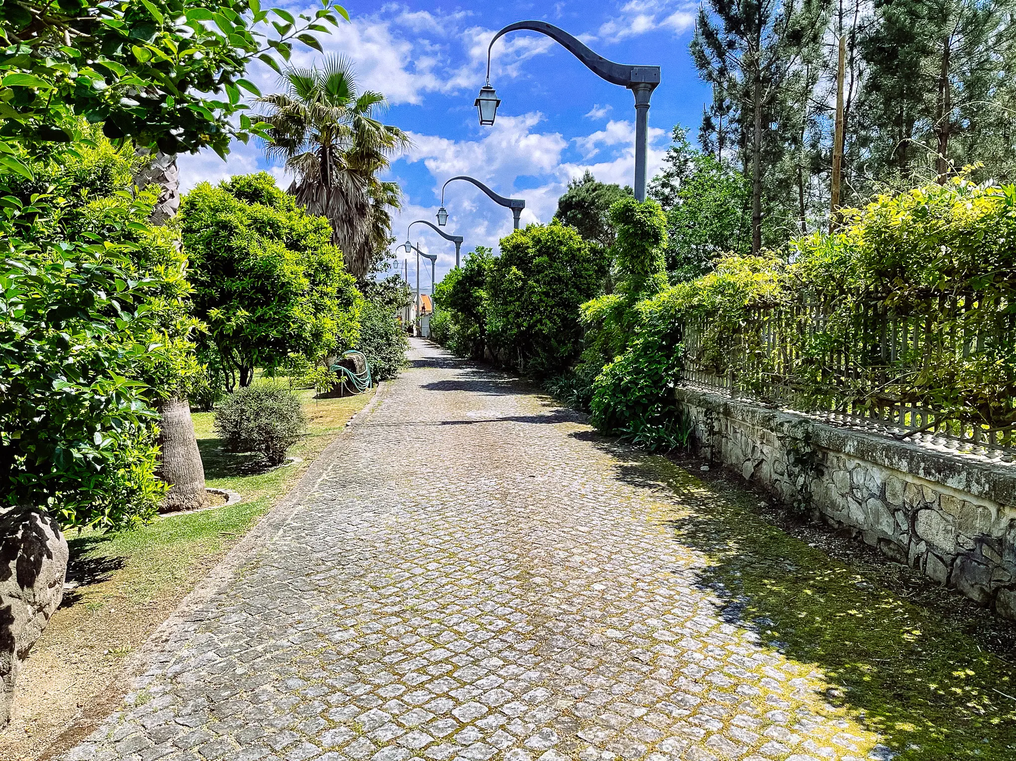 Chemin pavé bordé d'arbres et de murs en pierre